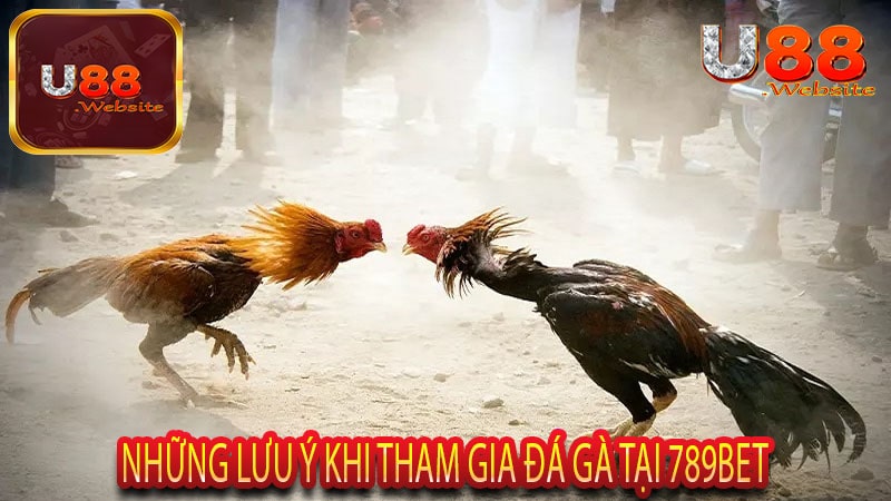 Những Lưu ý khi tham gia đá gà tại 789Bet